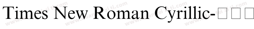 Times New Roman Cyrillic字体转换